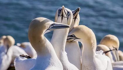 西甲综合:巴萨大胜西班牙人 9分优势领跑